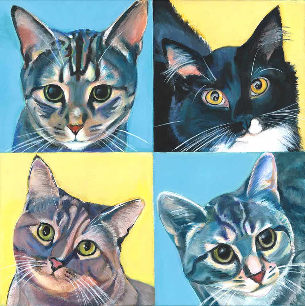 3 Tabbies