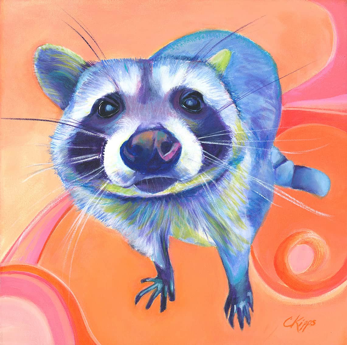 Rocky Raccoon